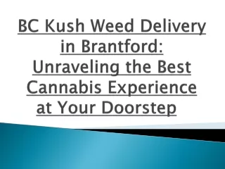 BC Kush Weed Delivery in Brantford: Unraveling the Best Cannabis Experience