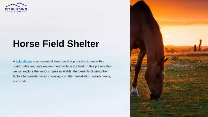 horse field shelter