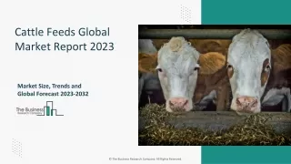 Cattle Feeds Market Forecast 2023-2032: Market Size, Drivers, And Trends