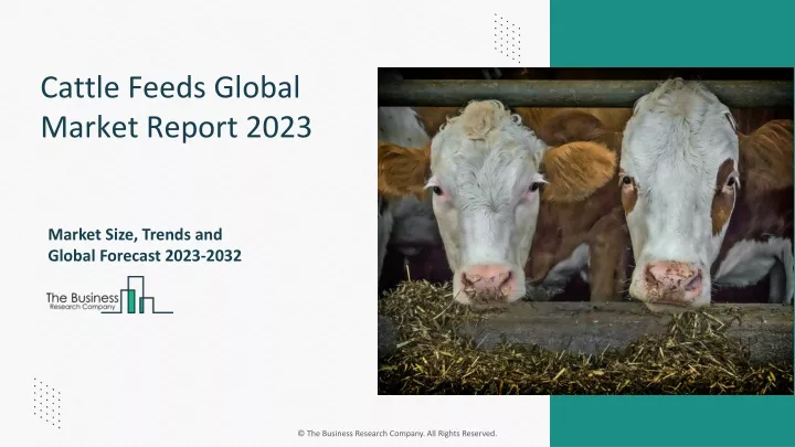 cattle feeds global market report 2023
