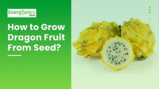 How to Grow Dragon Fruit From Seed 22