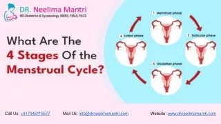 What Are the 4 Stages Of the Menstrual Cycle? | Dr Neelima Mantri