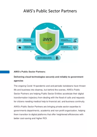 AWS’s Public Sector Partners