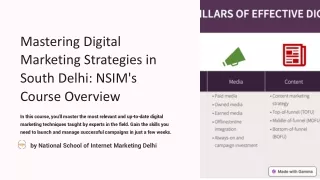 Mastering Digital Marketing Strategies in South Delhi: NSIM's Course Overview
