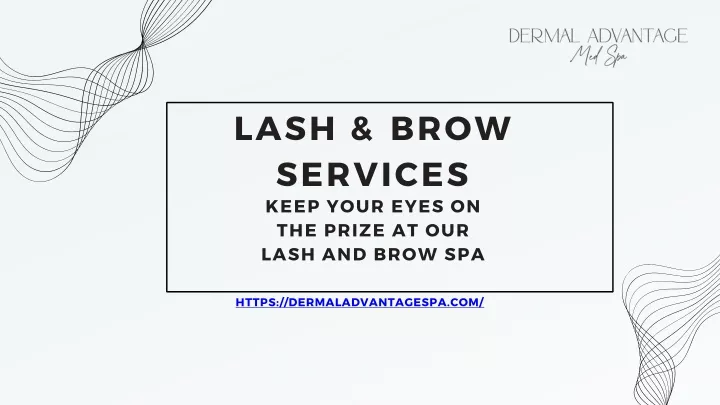 lash brow services