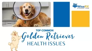 TOP COMMON GOLDEN RETRIEVER HEALTH ISSUES
