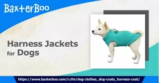 Stay Stylish and Safe with Harness Jackets for Dogs - BaxterBoo