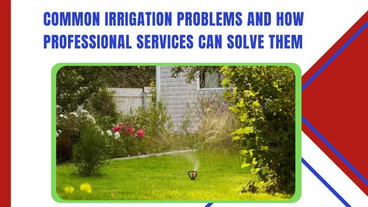 common irrigation problems and how professional