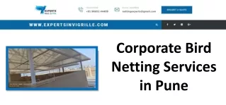 Corporate Bird Netting Services in Pune - Experts Invi Grille