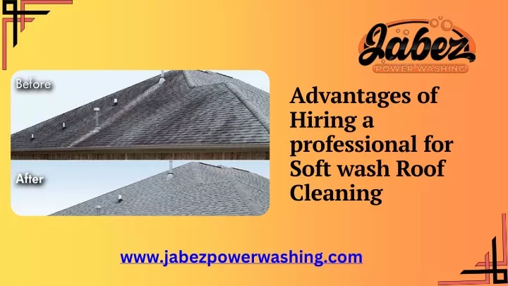 advantages of hiring a professional for soft wash