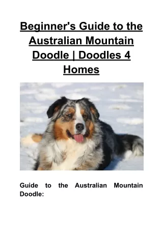 Beginner's Guide to the Australian Mountain Doodle _ Doodles 4 Homes