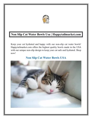 Non Slip Cat Water Bowls Usa  Happytailmarket.com