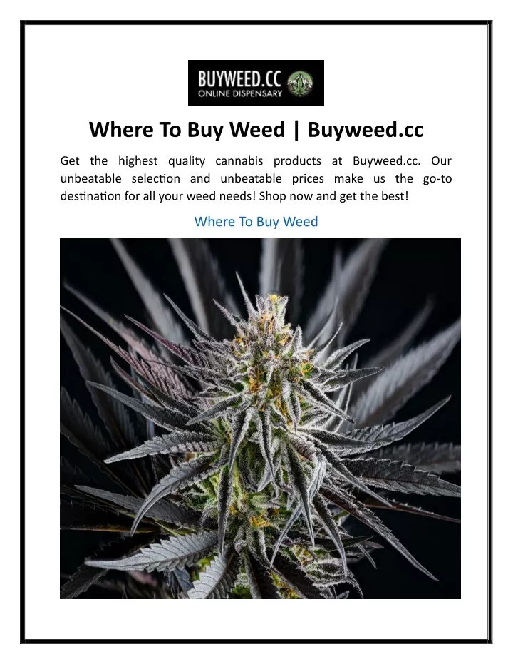 where to buy weed buyweed cc