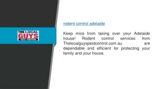 Rodent Control Adelaide  Thelocalguyspestcontrol.com.au