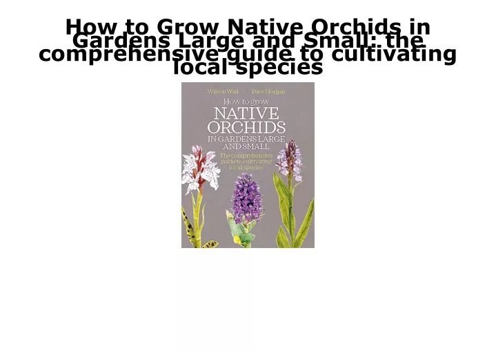 how to grow native orchids in gardens large