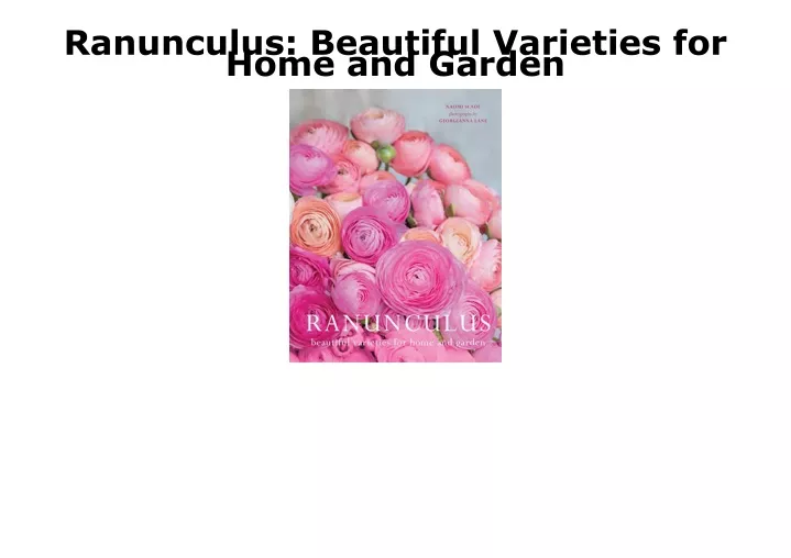 ranunculus beautiful varieties for home and garden