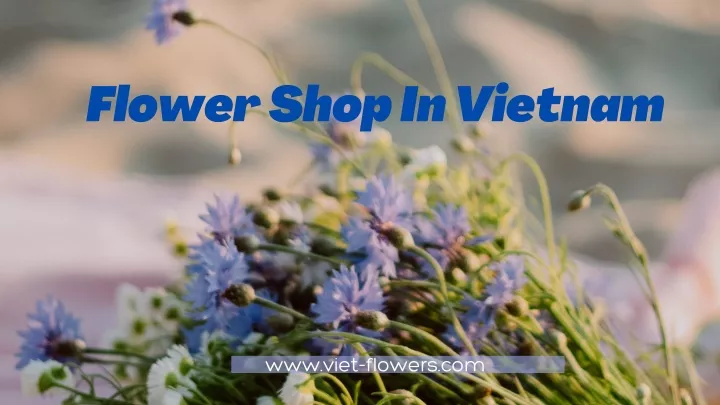 flower shop in vietnam