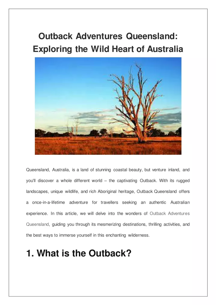 outback adventures queensland exploring the wild