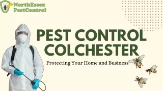 Swift and Effective Pest Control Colchester Solutions : North Essex Pest Control