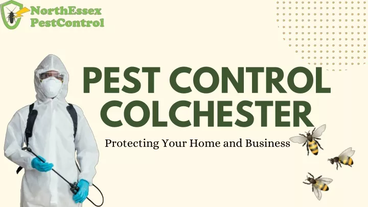 pest control colchester