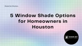 5 Window Shade Options for Homeowners in Houston