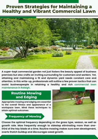 Proven Strategies for Maintaining a Healthy and Vibrant Commercial Lawn