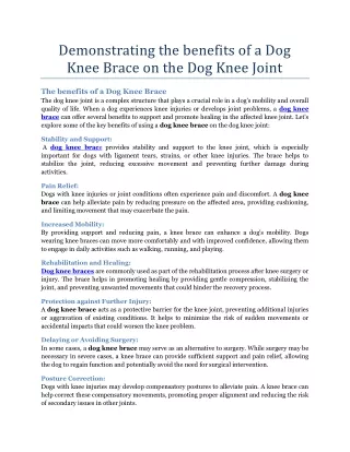Demonstrating the benefits of a Dog Knee Brace on the Dog Knee Joint