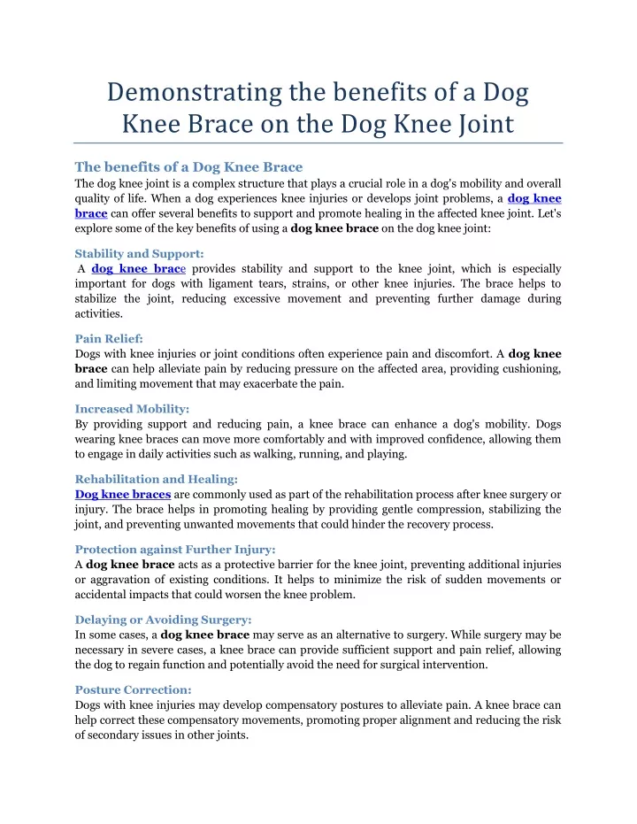 demonstrating the benefits of a dog knee brace