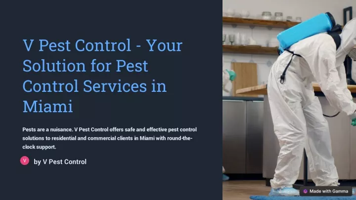 v pest control your solution for pest control