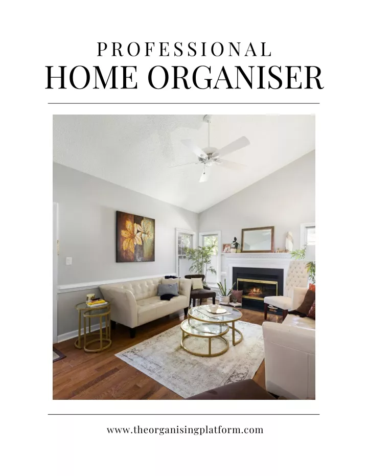 professional home organiser