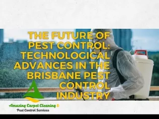 Corporate Cleaners Brisbane: Elevating Workplace Hygiene