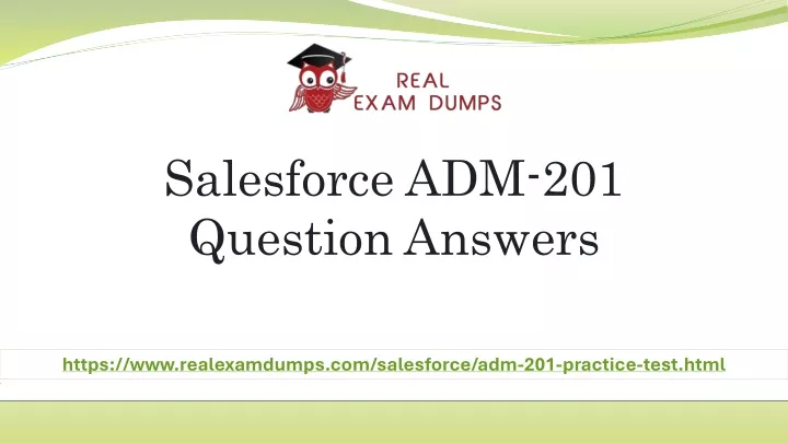 salesforce adm 201 question answers