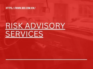 Risk advisory services