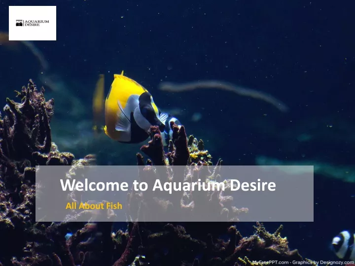 welcome to aquarium desire