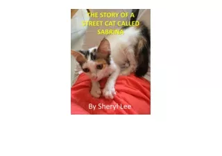Download PDF The Story of a Street Cat Called Sabrina free acces