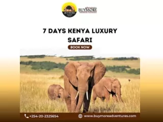 Unforgettable Encounters Up Close with Wildlife on a Kenya Luxury Safari