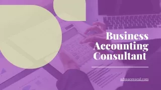 Business Accounting Consultant