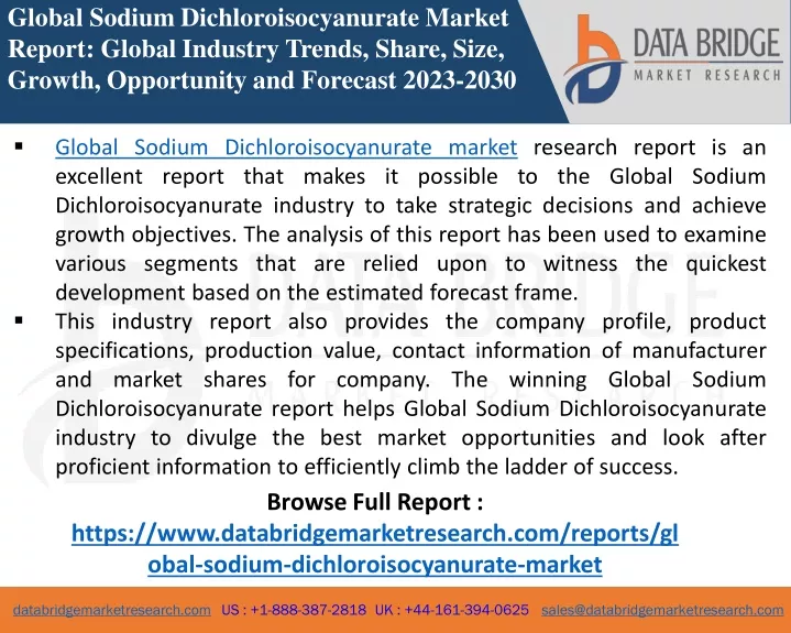 global sodium dichloroisocyanurate market report