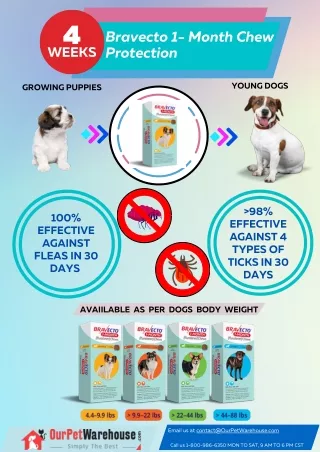 Bravecto-1 Month Chew: Greater Protection for Growing Dogs