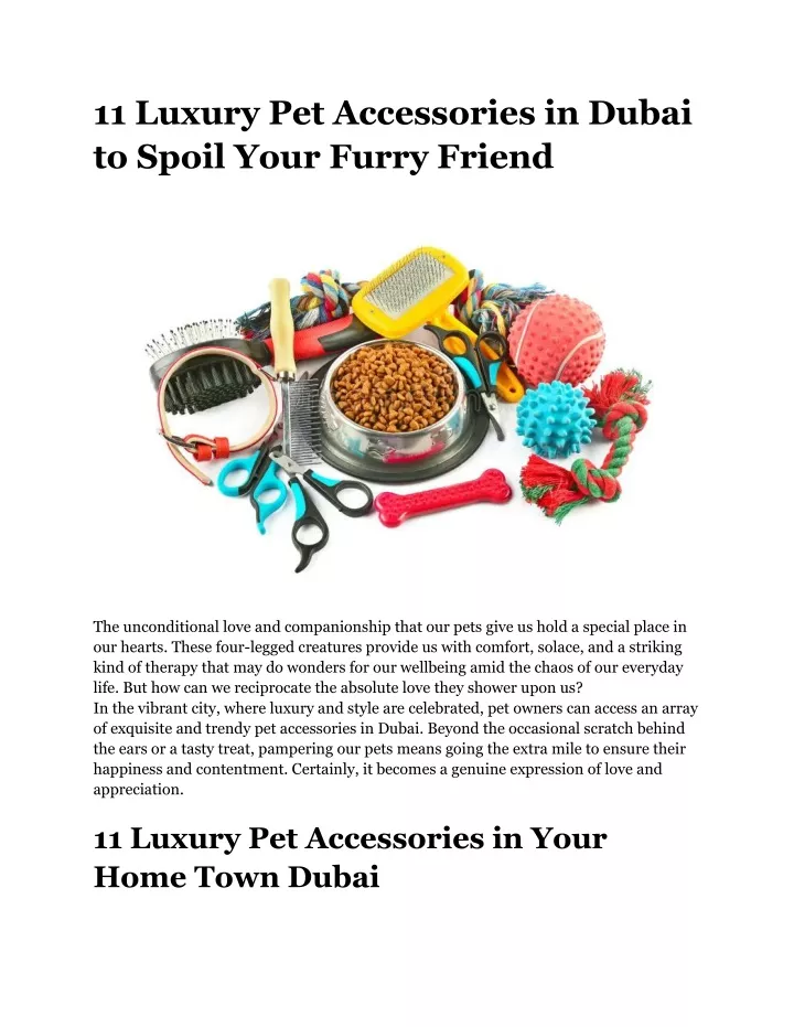 11 luxury pet accessories in dubai to spoil your