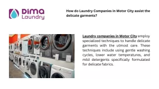 How do Laundry Companies in Motor City assist the delicate garments