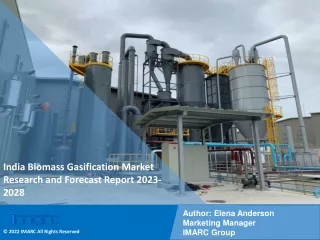 India Biomass Gasification Market Research and Forecast Report 2023-2028