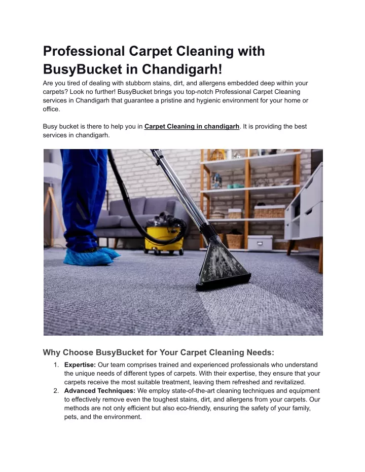 professional carpet cleaning with busybucket