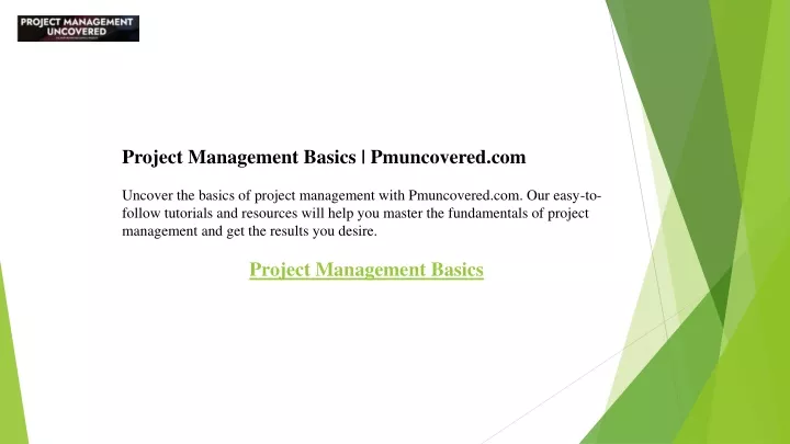 project management basics pmuncovered com uncover