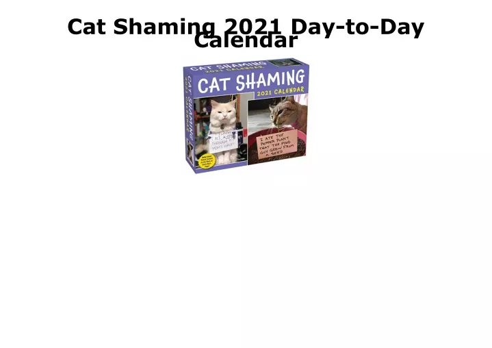 cat shaming 2021 day to day calendar