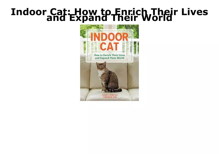 indoor cat how to enrich their lives and expand