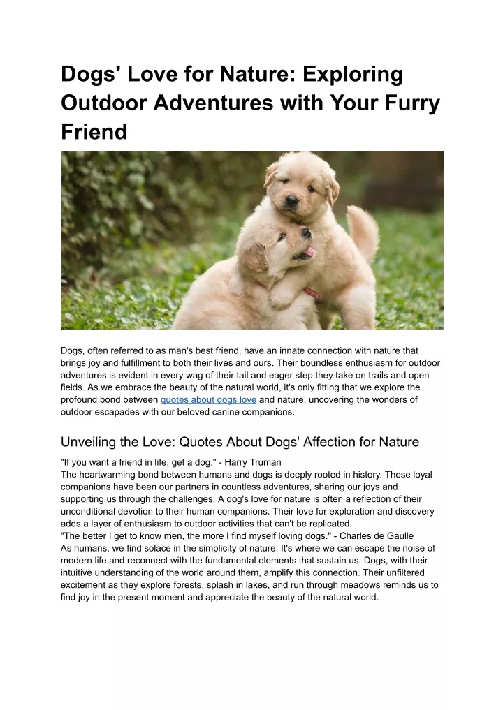 dogs love for nature exploring outdoor adventures