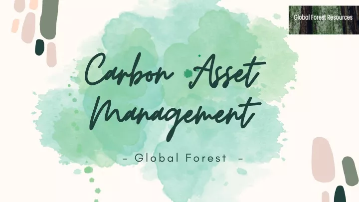 carbon asset management management