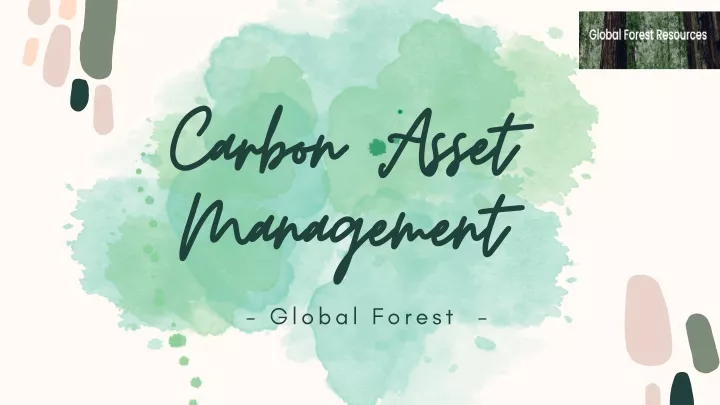 Ppt Carbon Asset Management Powerpoint Presentation Free Download