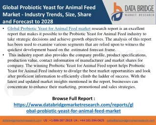 Probiotic Yeast for Animal Feed - Agricultural & Animal feed